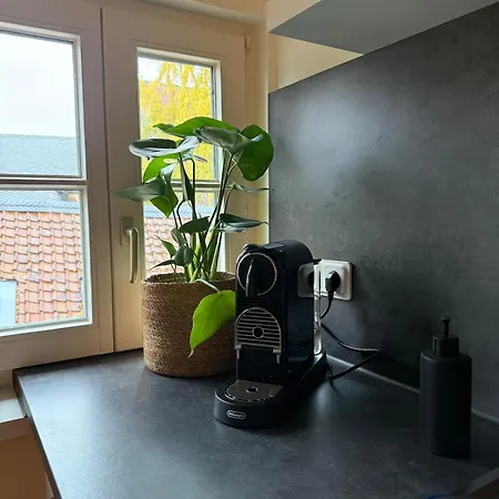 Wohlfuehloase No 3 * Goslar