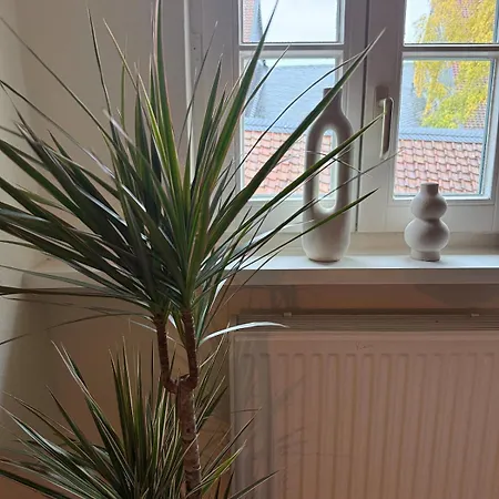 Wohlfuehloase No 3 Apartman Goslar