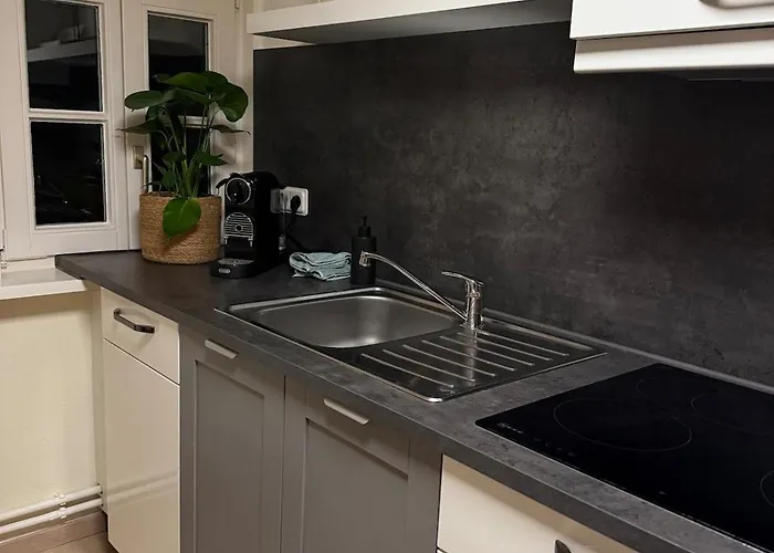 Διαμέρισμα Wohlfuehloase No 3 Γκόσλαρ