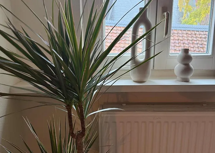 Wohlfuehloase No 3 Διαμέρισμα Γκόσλαρ